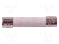 BM318/FUSE-10A