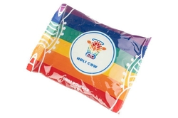 Barevný prášek Holi - sada 10x100g