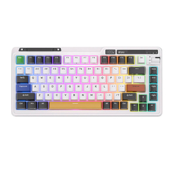 Bezdrátová mechanická klávesnice Royal Kludge KZZI K75 pro RGB, Eternity Switch (černá a bílá)