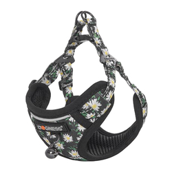 Cat set Dogness harness and leash 1,5m (Daisy Black)