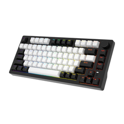 Dareu EK75 RGB wired keyboard (black and white)